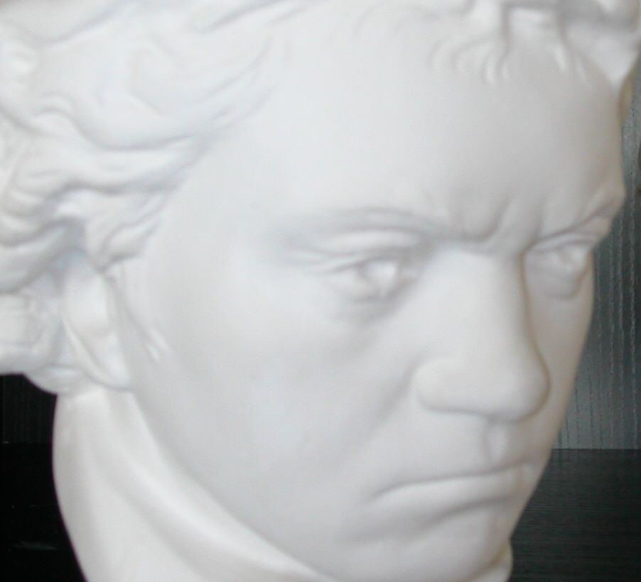 BEIM BEETHOVEN-FESTSPIELHAUS F�R BONN