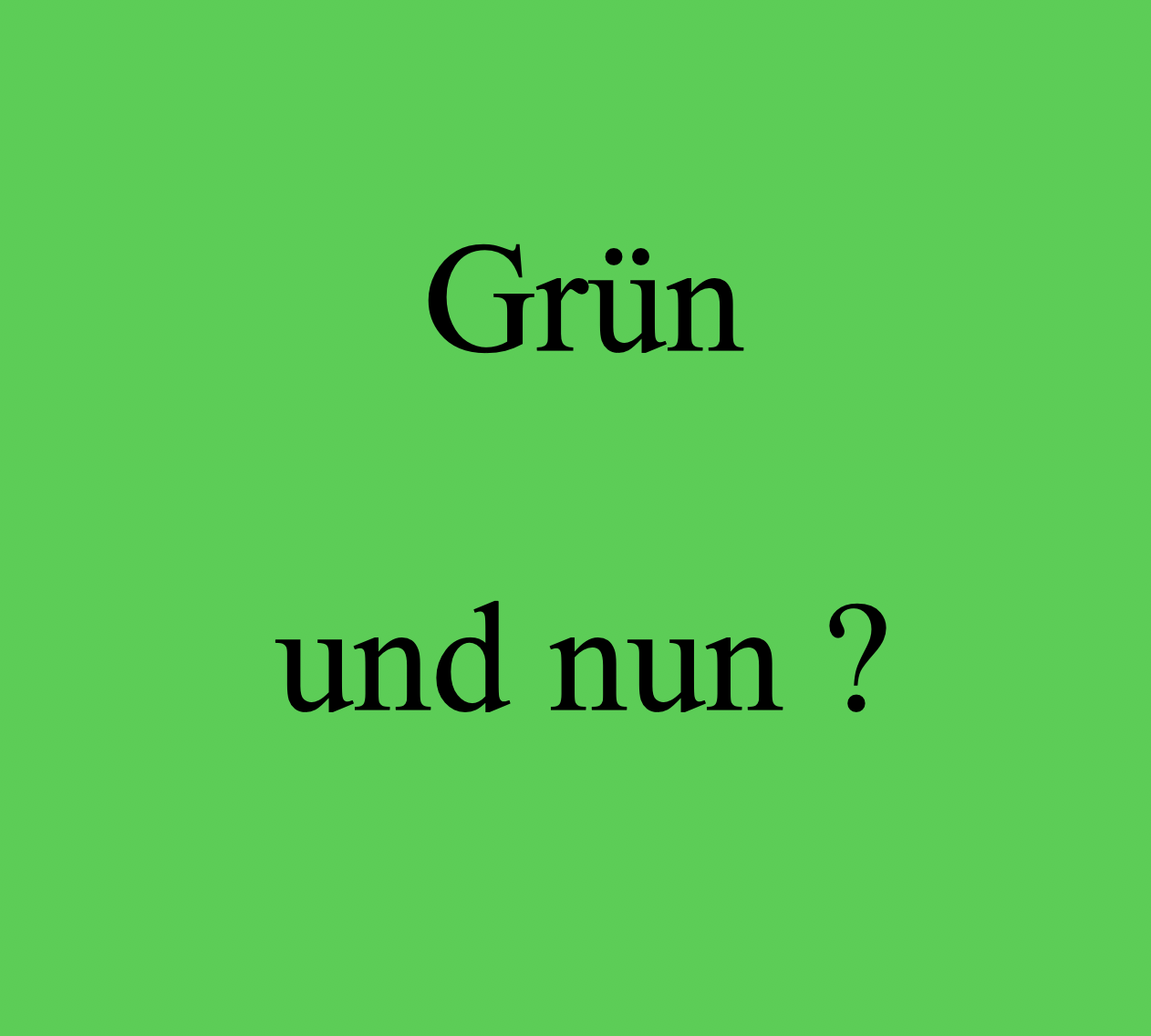 ZUM FESTSPIELHAUS HAT SCHWARZGRN
